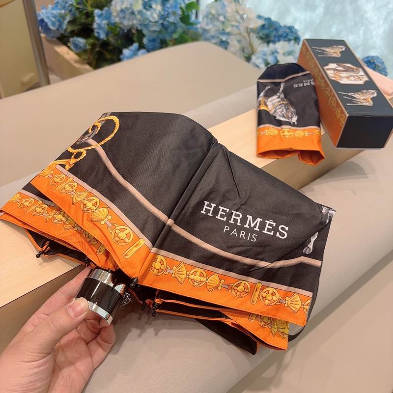 Hermes Umbrella (67)